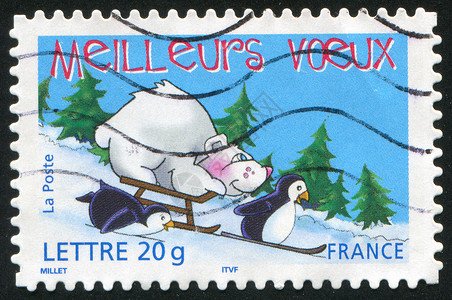 北极熊和企鹅雪橇和山羊背景