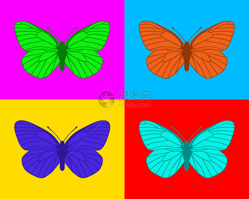 蝴蝶流行动物插图昆虫卡片流行音乐静脉翅膀艺术图片