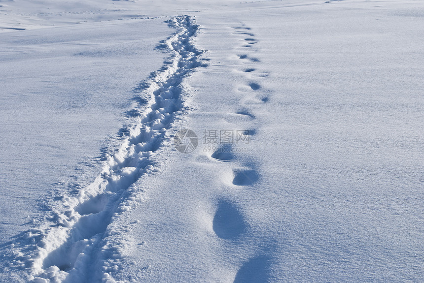 雪上踪迹痕迹旅行雪花脚步寂寞课程晴天远足勘探风暴图片
