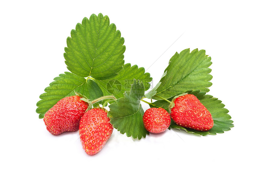 绿色叶子的新鲜草莓果白色果味饮食花园红色食物宏观活力水果甜点图片
