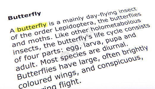 蝴蝶教练文档宏观教育黄色字典教学手册打印打字稿背景图片