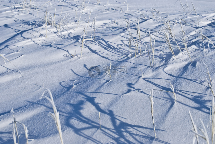 雪上踪迹处女脚印农村课程场地探险家脚步远足旅行雪花图片