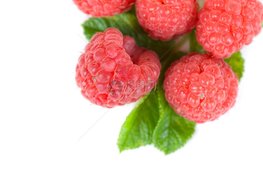 新鲜草莓果味营养花园团体食物浆果水果宏观维生素甜点图片