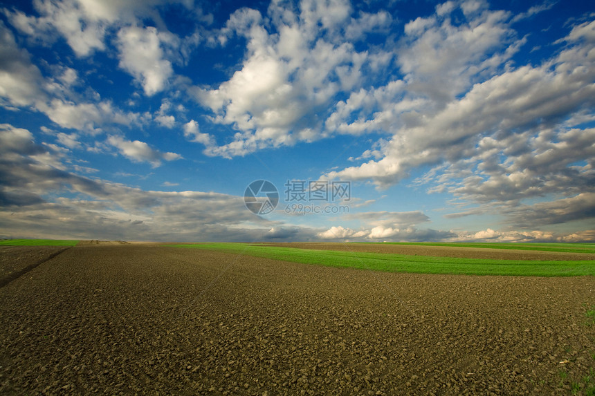 播种田地和多云的天空太阳农作物蓝色牧歌地形土地农场乡村农村绿色图片