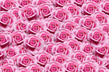 纸向下粉色美丽装饰墙纸风格玫瑰创造力女性背景图片