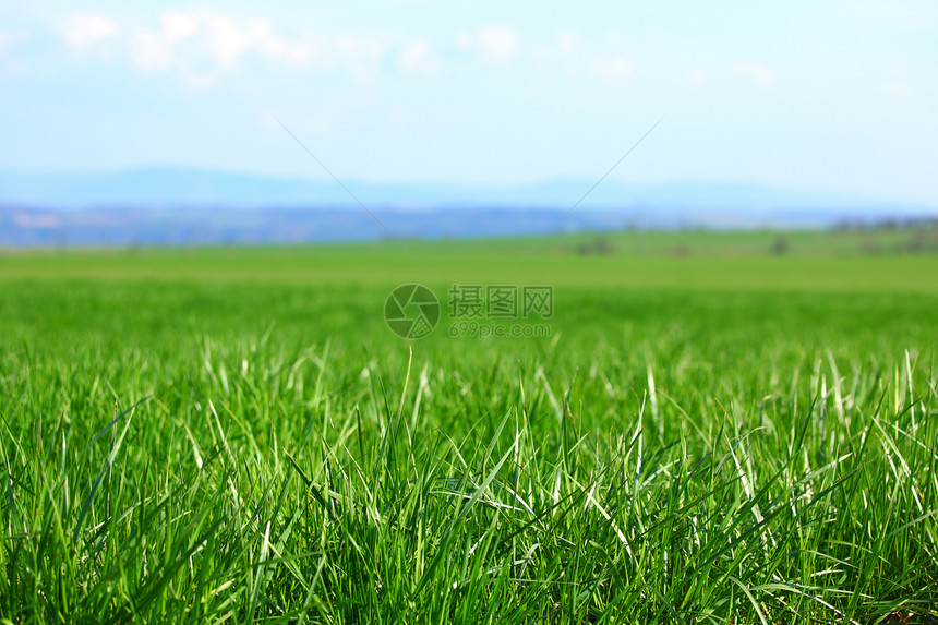 绿绿草季节射线地球农场远景蓝色农业植物土地天气图片