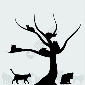 树林里的猫猫树设计图片