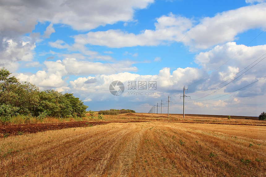 带有田地和天空的夏月风景图片