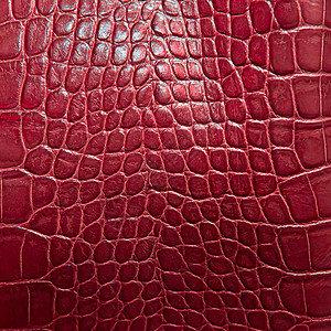 红色衣服的鳄鱼鳄鱼皮肤纹理蛇皮打印框架动物力量巧克力纺织品衣服皮革艺术背景