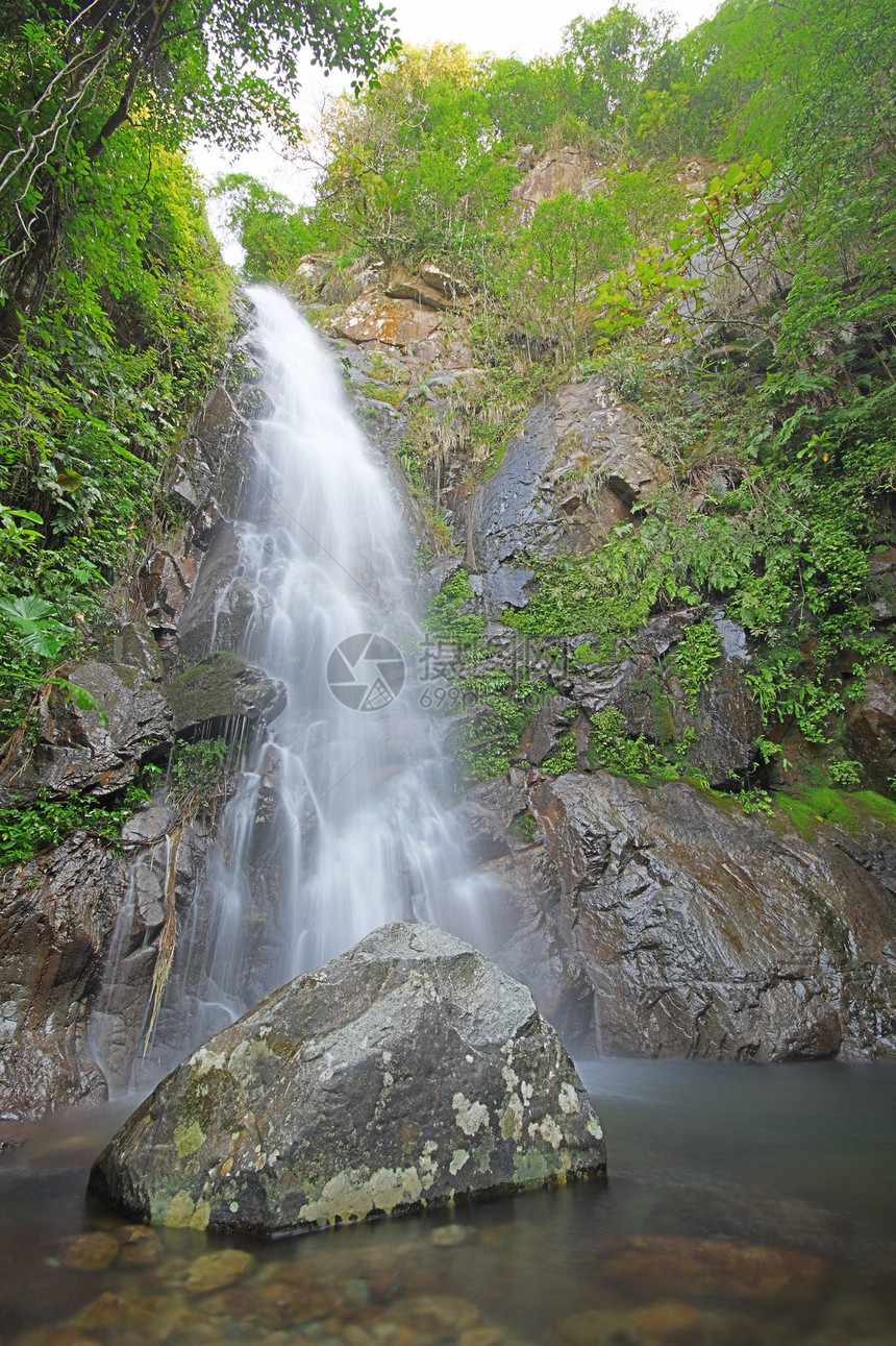 深森林中的瓦塔速度叶子美丽旅行水景植物衬套瀑布液体岩石图片