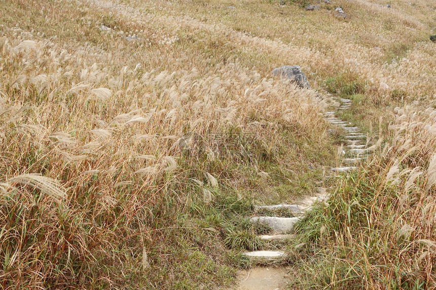 山中石石之路太阳森林踪迹顶峰照片天空荒野石头农村远足图片