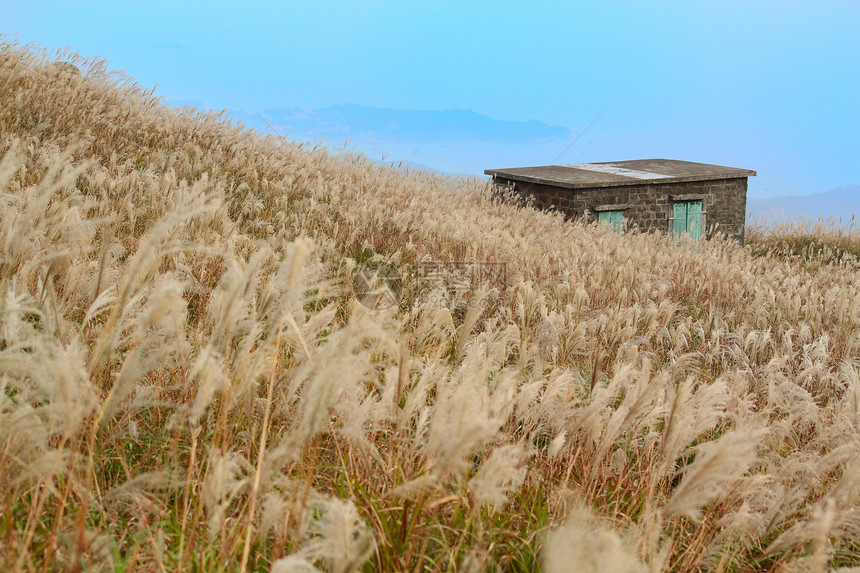 山上有草的老石屋木头森林农场高地农村旅行农家村庄凉亭小屋图片