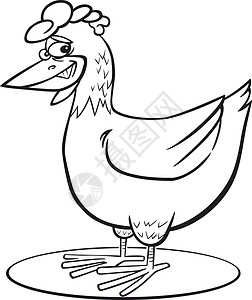 公鸡素材涂色卡通鸡鸡颜色页面卡通片家禽染色农场尾巴白色鸡冠公鸡母鸡艺术背景