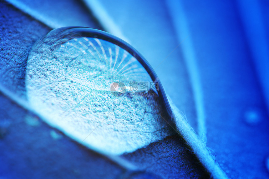 水滴宏液体植物照片蓝色天气环境气泡墙纸生活玻璃图片