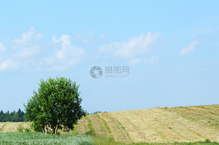 绿绿地农村天气草原草地国家蓝色环境土地太阳远景图片