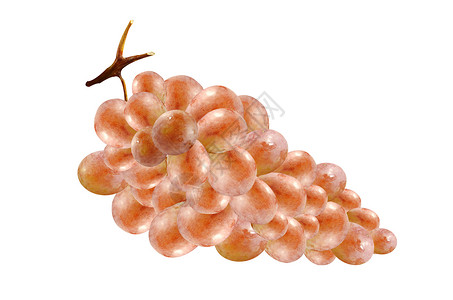 葡萄红色水果白色食物藤蔓斑点背景图片