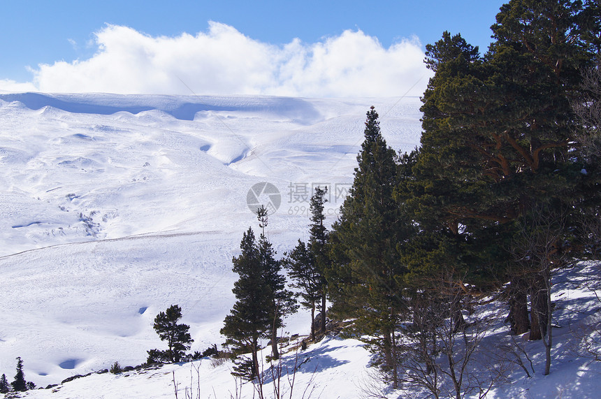 高加索山脉冰川旅行山脉天空地形荒野石头全景树木阳光图片