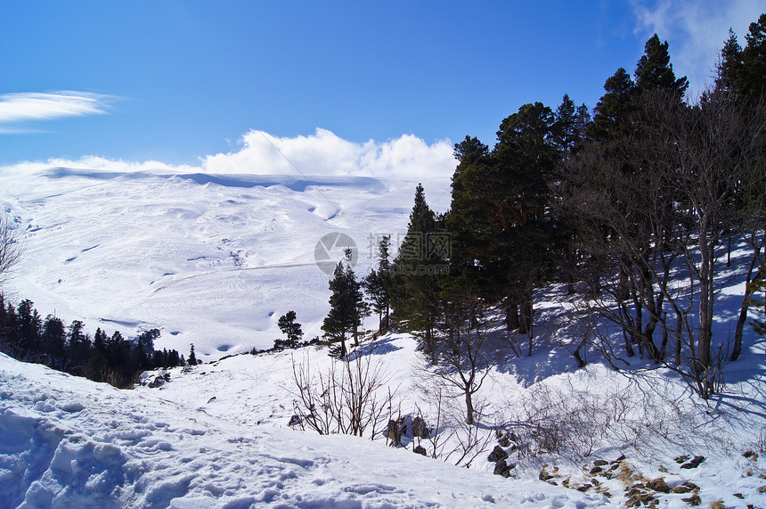 高加索自然保护区壮丽的山地风景图森林阳光山脉石头全景草地峡谷旅行荒野冰川图片