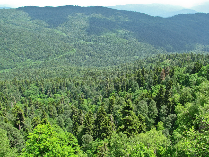 高加索自然保护区壮丽的山地风景图山峰草地阳光蓝色石头山脉森林全景地形旅行图片