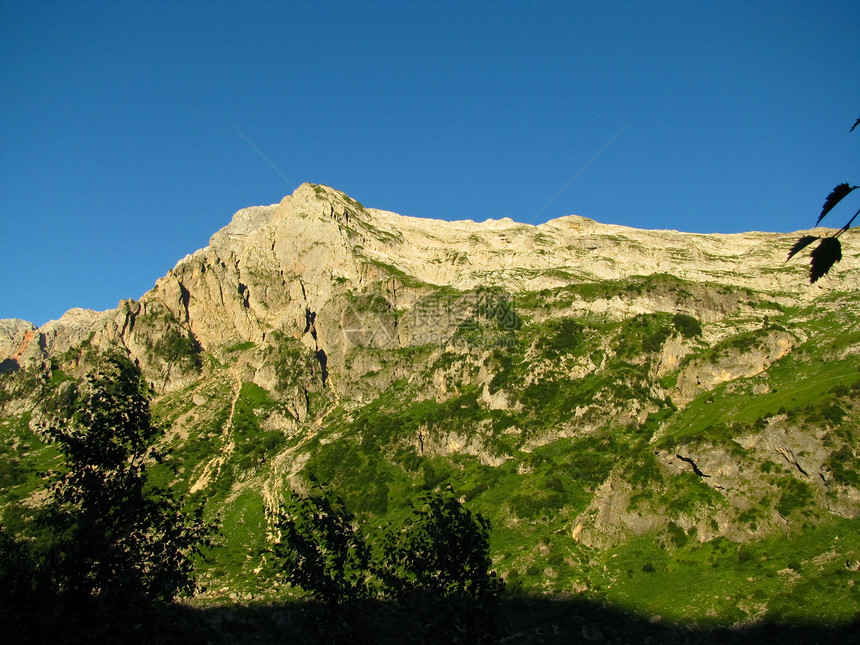 高加索自然保护区壮丽的山地风景图旅行荒野阳光全景爬坡山峰蓝色树木岩石冰川图片