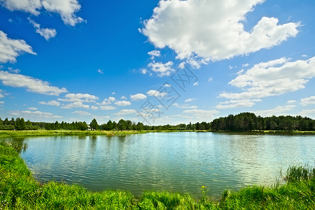 草水夏季风景照片叶子支撑环境阳光镜子荒野蓝色场景草地背景