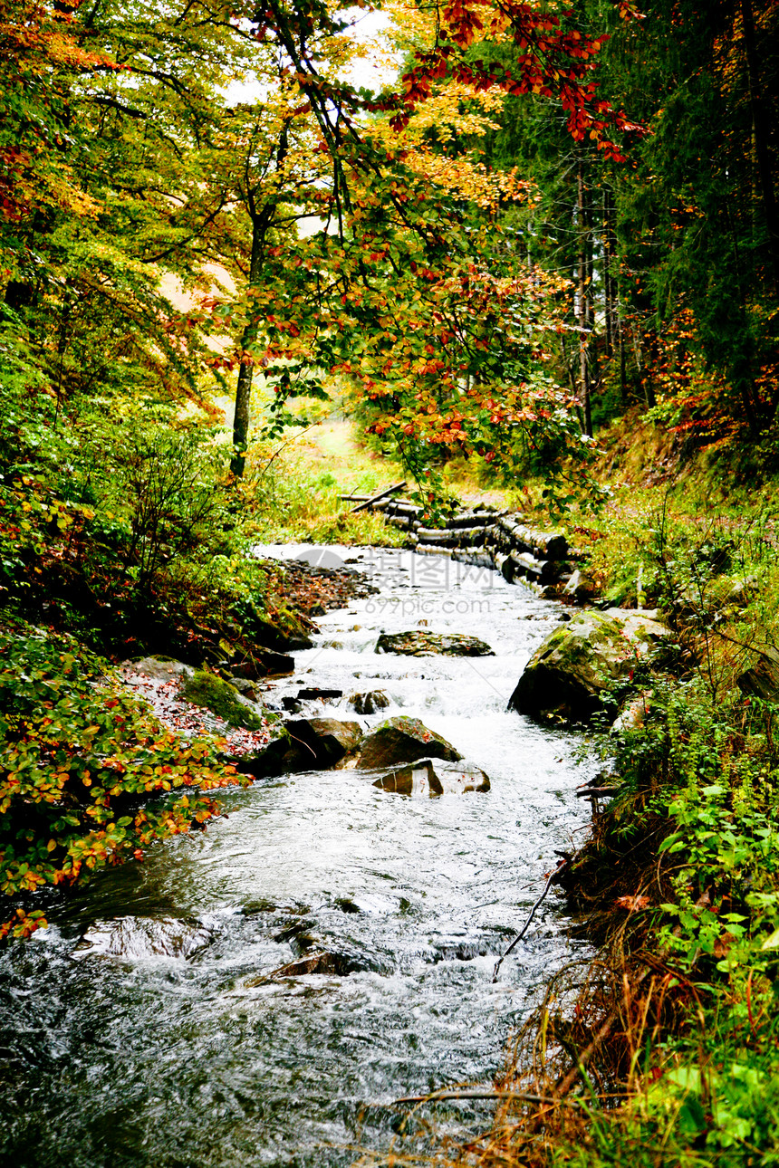 森林中的河流石头乡村衬套山脉森林溪流岩石旅行瀑布季节图片