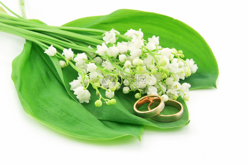 白地孤立的金环和谷里莉莉花园季节植物花束宏观教会庆典婚礼戒指花朵图片