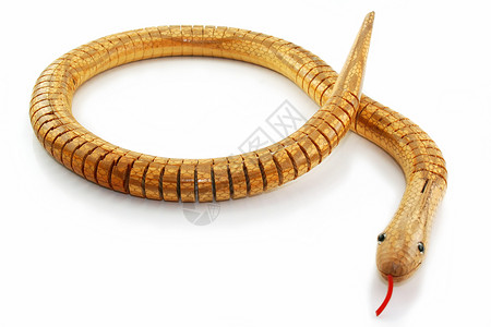 木蛇死神舌头法器缠绕木头毒蛇背景图片