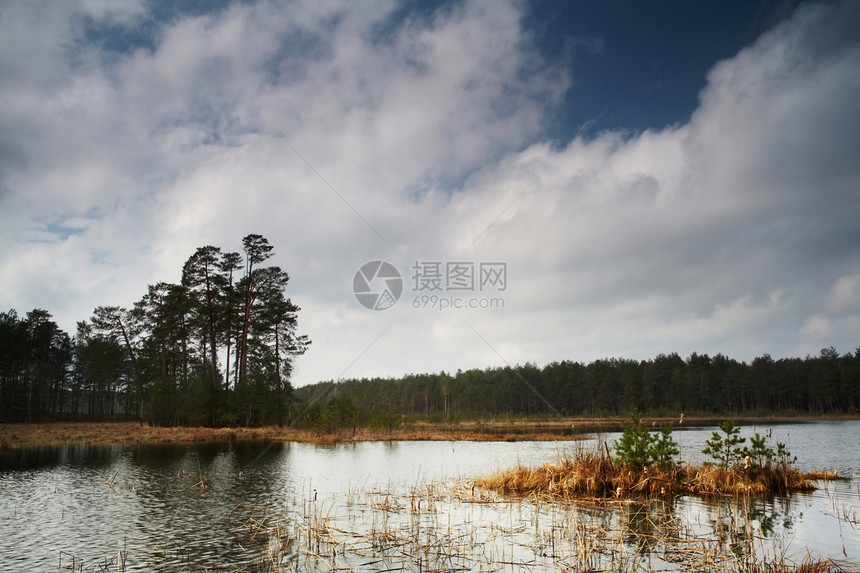 森林中的湖泊闲暇天空场景树木气候松树植物绿色反射蓝色图片