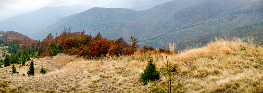 山中秋天爬坡荒野薄雾环境黄色旅行图片