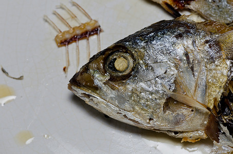 油炸竹鱼食物鲭鱼厨房海洋炙烤市场饮食钓鱼菜单海鲜背景图片