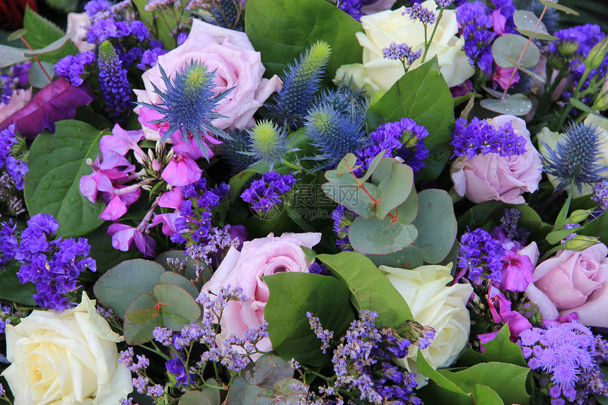 蓝色和紫色的花朵安排图片