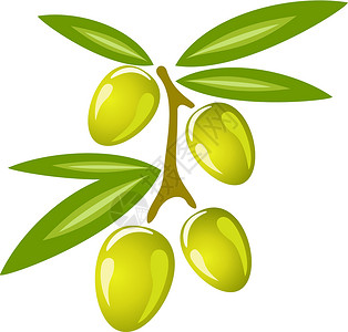 橄榄状Stylized 橄榄树枝符号 图标孤立矢量插图食物标识绘画程式化艺术数字植物白色黑色植物人插画