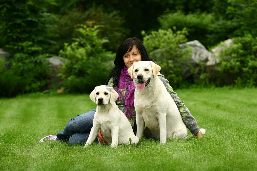 女孩和两只狗坐在草地上猎犬宠物城市安全童年混种友谊幸福忠诚动物图片