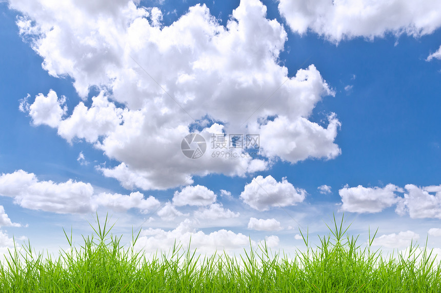 青蓝天空的春青绿草框架墙纸宏观园艺牧场草本植物草地环境土地足球图片