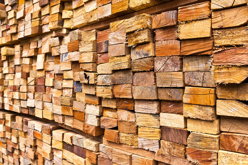 木木日数堆木头木材日志林业森林砍伐工业材料戒指树干图片