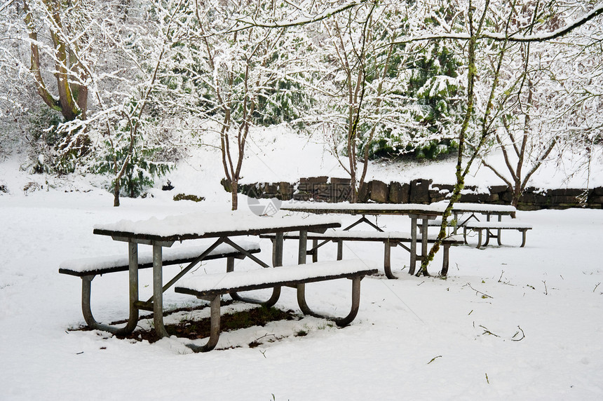 冬天季节白色风景金属季节性公园雪景野餐木头植物图片