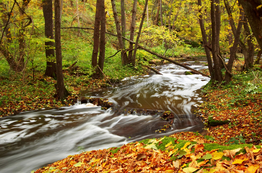 秋树之间的河流生活场景阳光石头速度树木巨石森林岩石瀑布图片