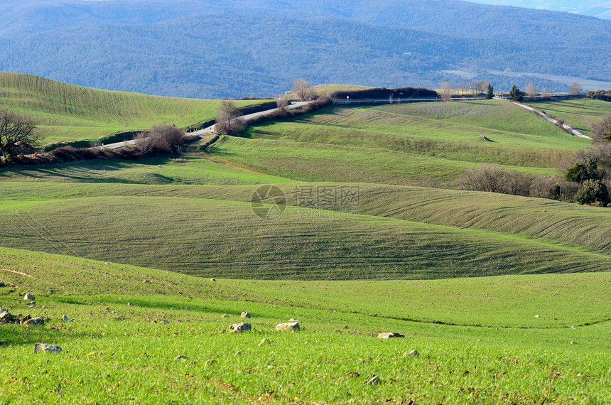 托斯卡地貌农村天空草地山坡丘陵植被场景橙子场地远景图片