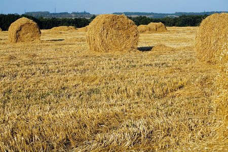 黄色干草堆在纯田地上高清图片