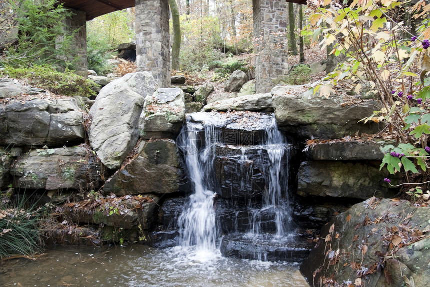 小瀑布植物石头溪流公园岩石树木森林风景绿色图片