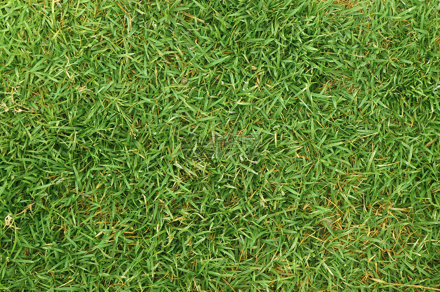 草地背景游戏网球环境植物闲暇塑料操场公园场地地面图片