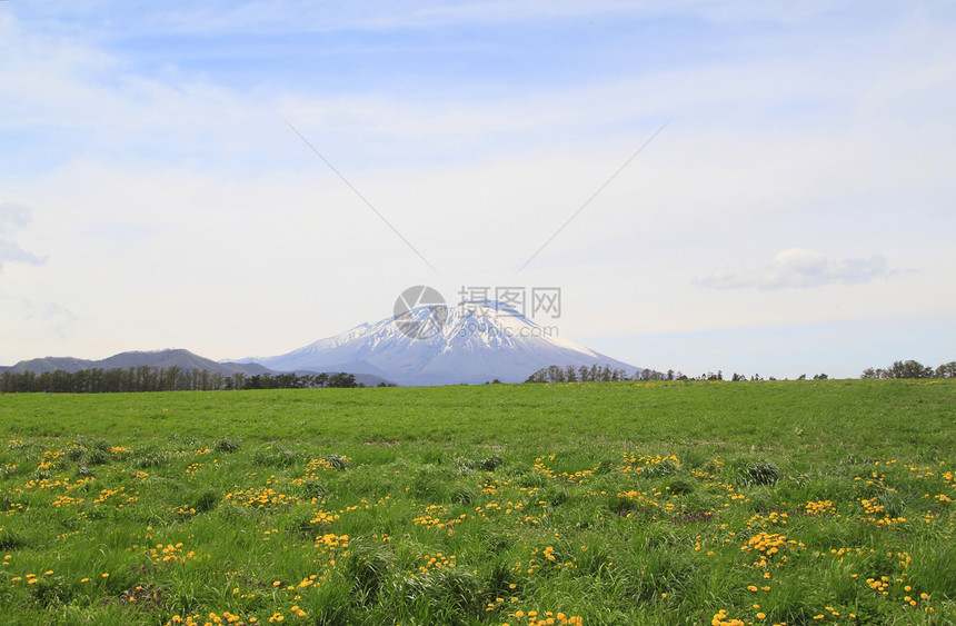 草原和伊瓦特山天空草地太阳季节绿色阳光场地蓝色图片