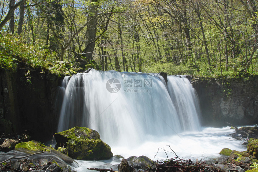春天的Oirase溪流石头木头企流自然树干力量苔藓阳光植被瀑布图片