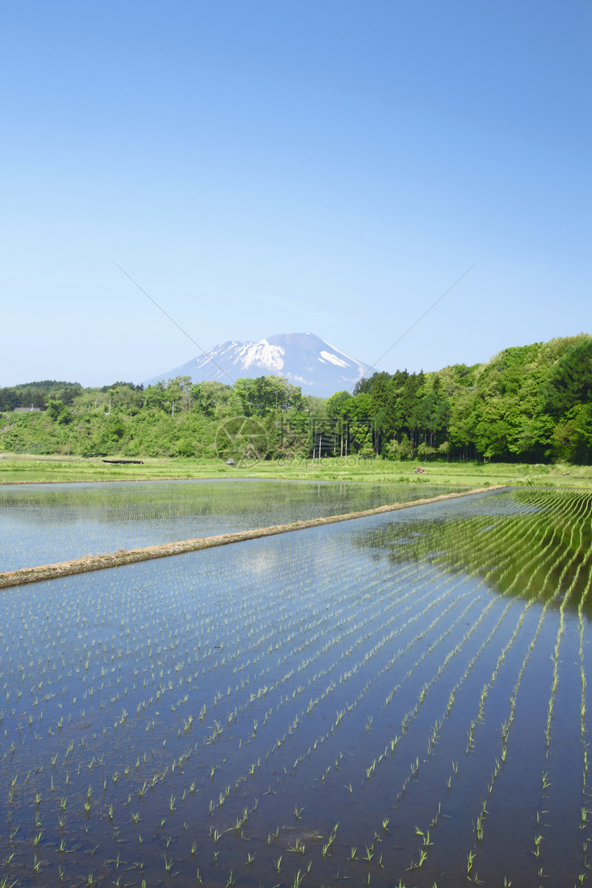 伊瓦特山和牧区景观绿色蓝色蓝天田园国家天空场地农场村庄图片