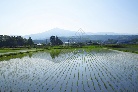 两瓶姬存希希马卡米山和牧地景观村庄场地田园蓝色农场国家绿色蓝天天空背景