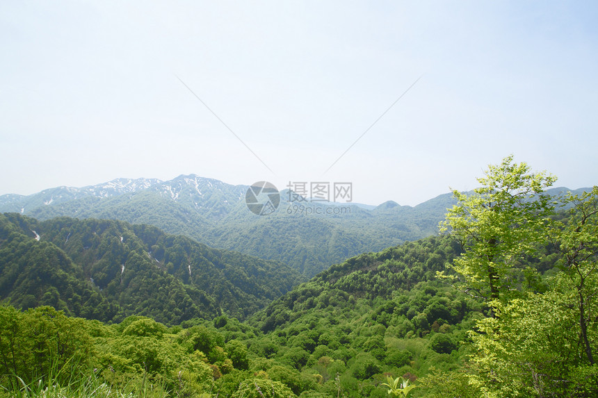 白海三井的关口树林世界遗产景点场景蓝色山毛榉植物薪水森林旅游图片