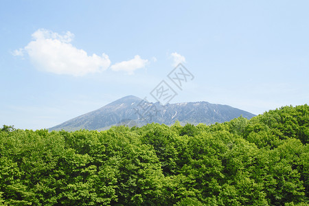 绿色新绿 伊瓦特山树木木头天空高清图片