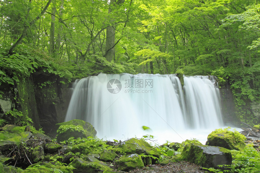 夏季的Oirase溪流力量植被绿色瀑布阳光射线树干图片