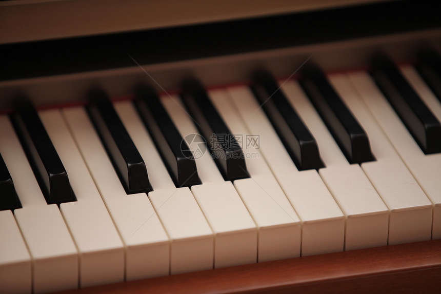 钢琴键白色木头键盘旋律钥匙黑色乐器象牙乌木宏观图片
